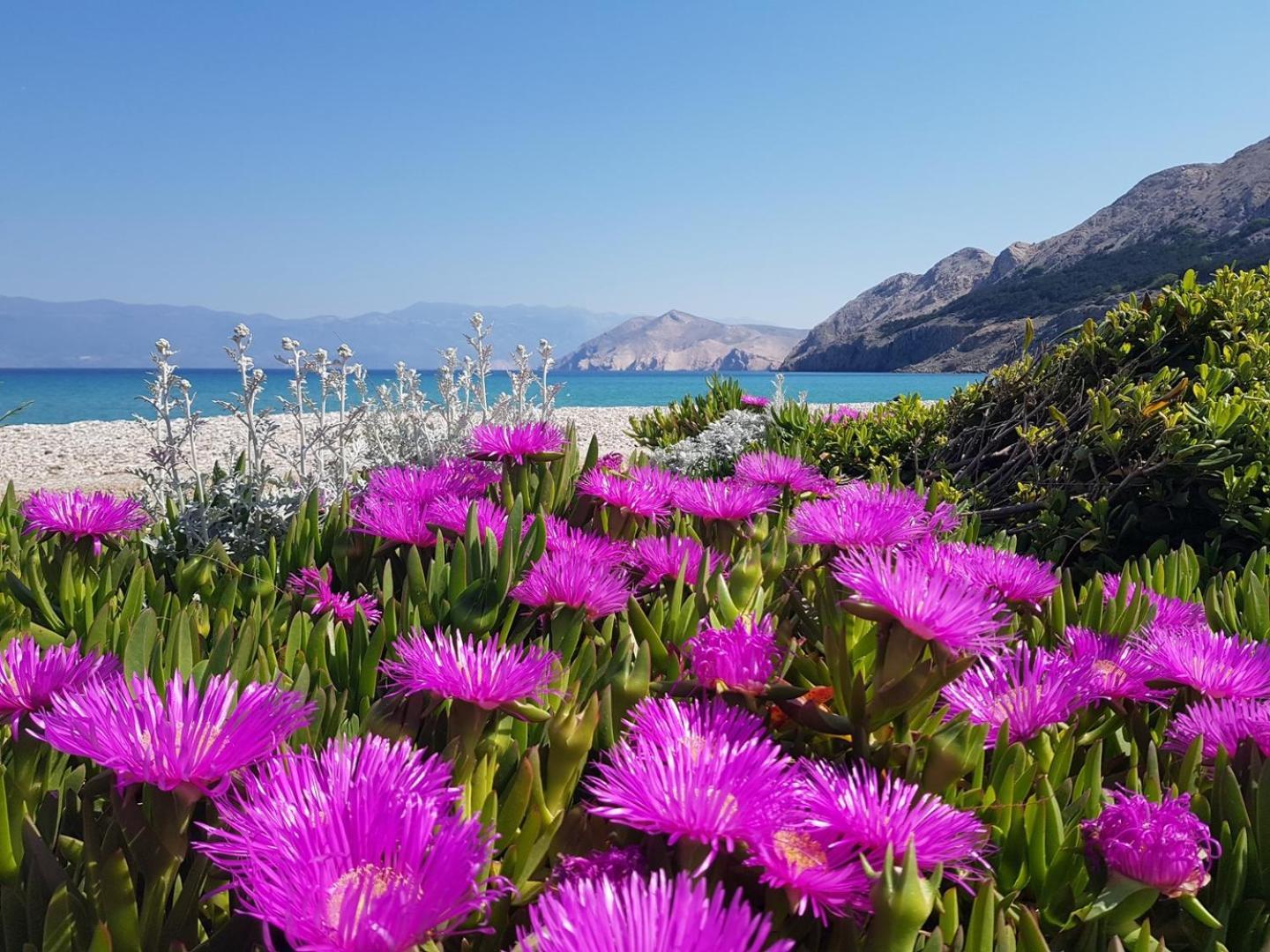 Apartments Gabriela Baška Εξωτερικό φωτογραφία